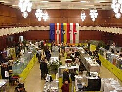 Besuchen Sie unsere Ausstellungen